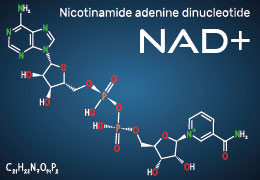 Anti-Aging and Longevity